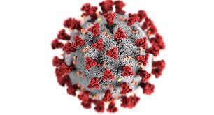 Image of Coronavirus
